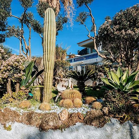 Appartamenti Ischia Casa Don Peppe Forio  Luaran gambar