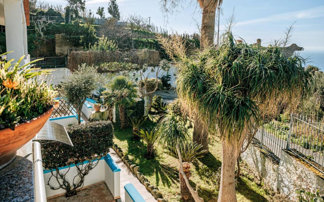 Appartamenti Ischia Casa Don Peppe Forio  Luaran gambar